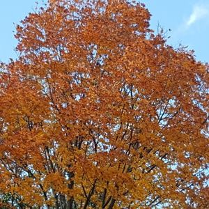 Meet your Posher, Darleen